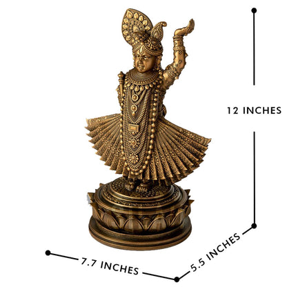 Murlimanohar Shrinathji Vigrah